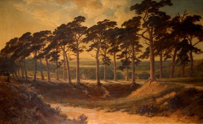 Harrow desde el Primero, Hampstead Heath, 1875 de Edmund John Niemann