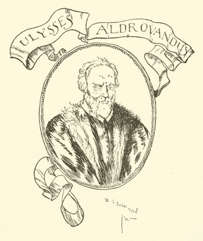Ulises Aldrovandus de Edmund Joseph after Sullivan