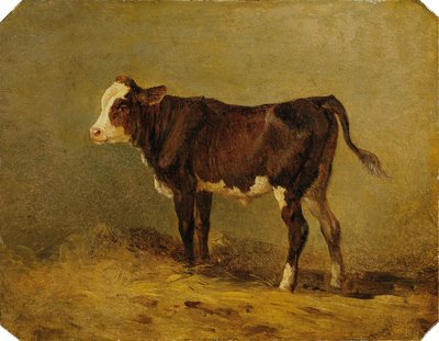 becerro de Edmund Mahlknecht