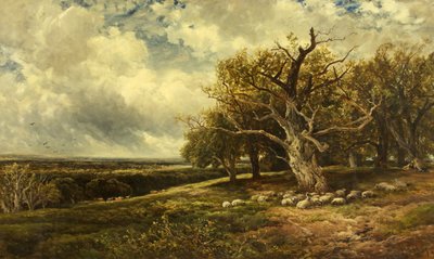 Paisaje - A Través del Valle de Edmund Morison Wimperis
