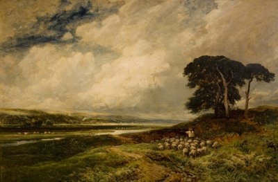 Paisaje con ovejas, 1899 de Edmund Morison Wimperis