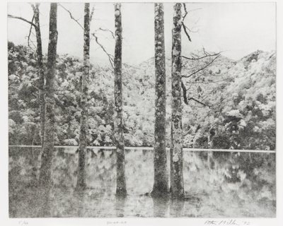 Sai-no-Ko, 1992 de Edouard Cremieux