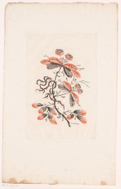Flores y capullos
Fleurs Idéalle (título de la serie) de Edouard Gautier Dagoty