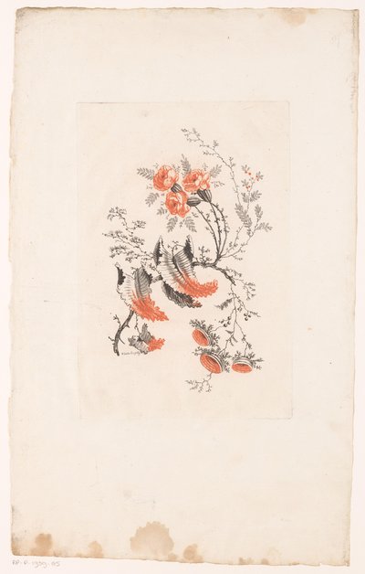 Diversos tipos de fantasía
Fleurs Idéalle (título de la serie) de Edouard Gautier Dagoty