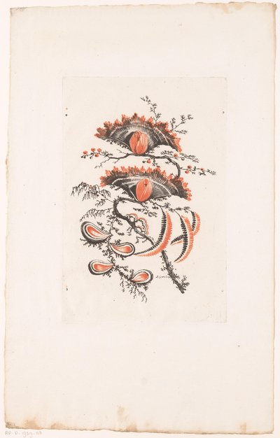 Flores en forma de abanico
Fleurs Idéalle (título de la serie) de Edouard Gautier Dagoty