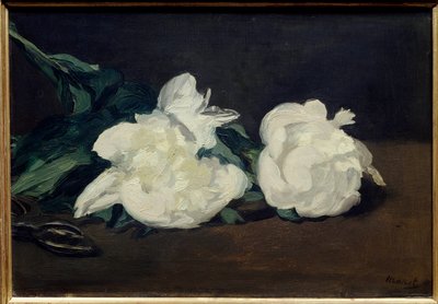 Rama de peonías blancas y tijeras de podar de Édouard Manet