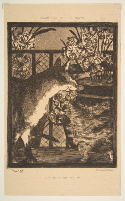 Gato y flores. Ilustración para Los Gatos de Champfleury, 1869 de Édouard Manet