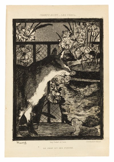 Gatos de Édouard Manet