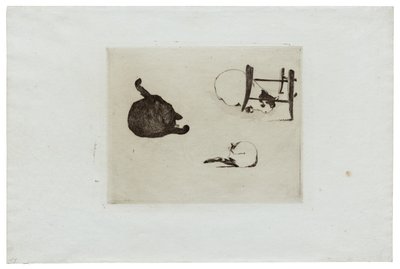 Los gatos de Édouard Manet