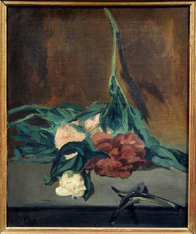 Peonías, vara y podadera de Édouard Manet