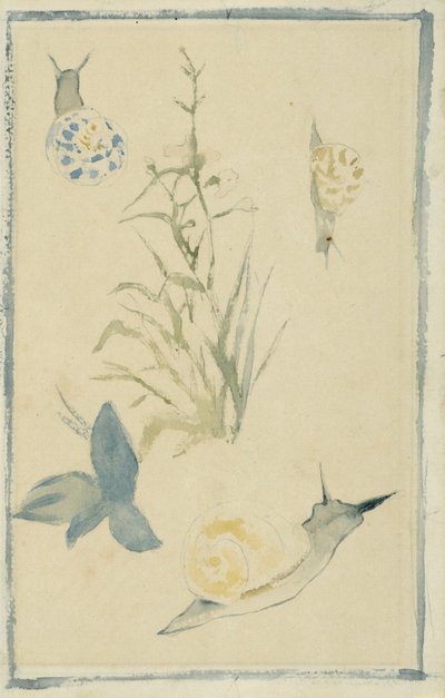 Bocetos de Caracoles, Planta con Flores, c.1880 de Édouard Manet