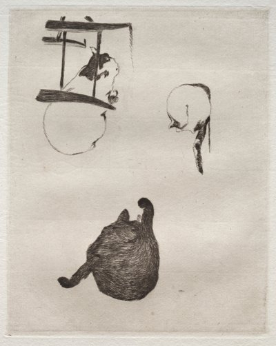 Los gatos de Édouard Manet