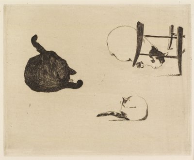 Los Gatos de Édouard Manet