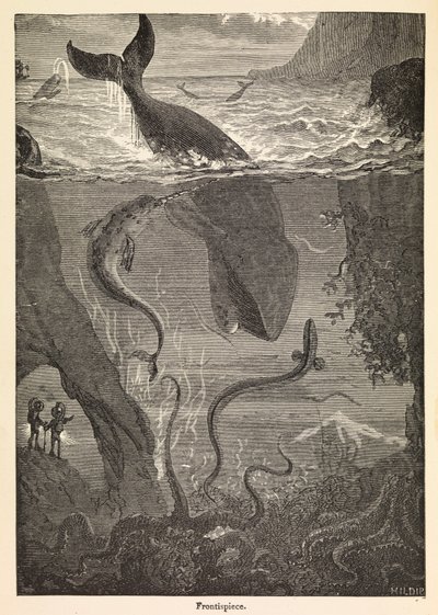 Frontispicio de "Veinte mil leguas de viaje submarino" de Julio Verne, c.1870 (grabado) de Edouard & Neuville Alphonse Marie Adolphe de (1835 85) Riou