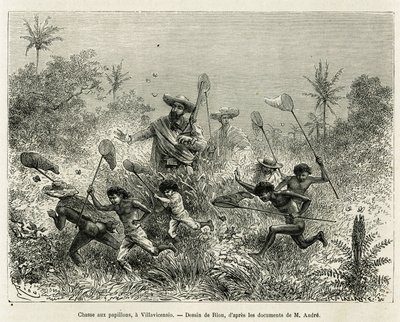 Una pandilla de niños cazando mariposas, acompañados por el autor, en Villavicencio (Colombia), dibujo de Riou, para ilustrar la historia de América Equinoccial (Colombia, Ecuador, Perú), en 1875-1876, por Ed. André, viajero encargado de la misión por el F de Edouard Riou