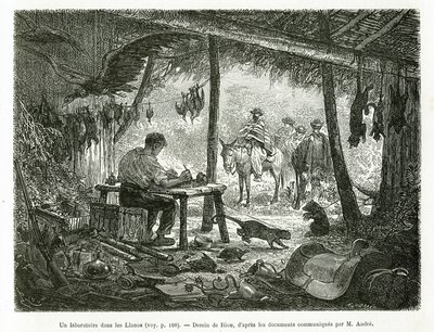 Un laboratorio de taxidermia en la selva virgen, en la región de Llanos (Colombia), dibujo de Riou, para ilustrar la historia de América Equinoccial (Colombia, Ecuador, Perú), en 1875-1876, por Ed. André, misión de viaje encargada por el gobierno francés.  de Edouard Riou