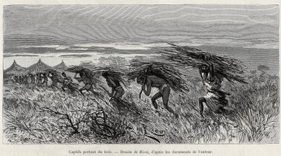 Cautivos cargando madera en el monte. Ilustración de la historia “From Niger to the Gulf of Guinee”, por el Capitán Louis Gustave Binger (1856-1936), en 1887-1889, en Le tour du monde, nouveau journal des voyages, bajo la dirección de Edouard Charton (1807 de Edouard Riou