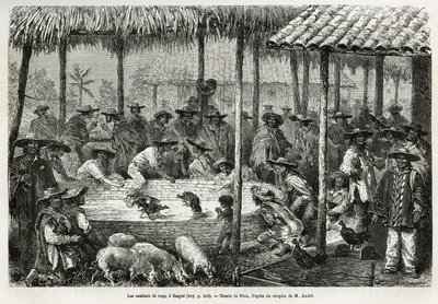 Pelea de gallos y animación callejera en Ibague (Colombia), ilustración de la historia de América Equinoccial (Colombia, Ecuador, Perú), en 1875-1876, por Ed. André, misión de viajero encargada por el gobierno francés. Grabado en Le tour du monde de Edouard Riou