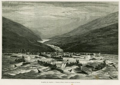 Pesca de delfines. Grabado de Riou para ilustrar la historia Un mes en el archipiélago de las Feroe (Feroe, Dinamarca), de H.Labonne, en Le Tour du Monde 1887, dirigido por Edouard Charton (1807-1890), Hachette, París. de Edouard Riou