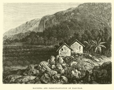Hacienda y plantación de cacao de Tian-tian de Edouard Riou