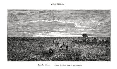Los Llanos, Venezuela, siglo XIX de Edouard Riou