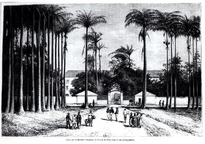 Place des Palmistes, Cayena, Guayana de Edouard Riou