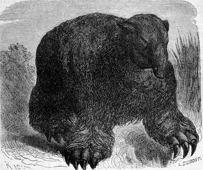 Prehistoria: representación de un megaterio (perezoso terrestre de la familia de los elefantes). Grabado de Edouard Riou (1833-1900) de finales del siglo XIX de Edouard Riou