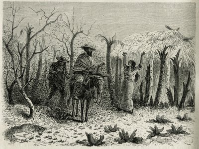 Las nubes de langostas del Valle del Alto Patía, con el narrador del viaje en su mula, grabado por Riou, ilustración de la historia L