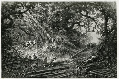 La explotación de caoba en los bosques de los Andes. Grabado por Riou, para ilustrar la historia "Viaje a Yucatán y la Tierra de los Lacandones", en 1882, por Désiré Charnay (1828-1915) arqueólogo y fotógrafo. Publicado en Le Tour du monde de Edouard Riou