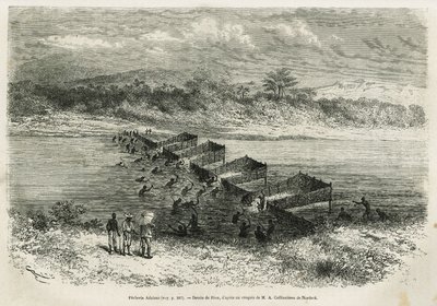 La industria pesquera en el río Eboga, que atrapa los peces, los conduce a través de los rápidos a través de sus cañas de bambú, ilustración de la historia de un viaje a Gabón y el río Ogoue, en 1875-1877, por Alfred Marche. Grabado en Le tour du monde de Edouard Riou
