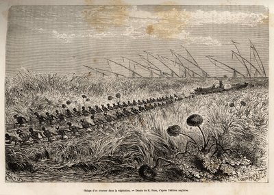 El remolque de un vapor a través de las balsas de vegetación que invaden el canal hueco para salir de un pantano, grabado después de un dibujo de E.Riou, ilustrando una expedición armada en África Central, para la supresión del comercio negro de Edouard Riou