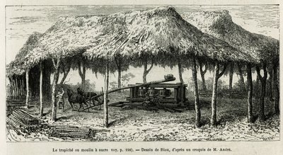 El trapiche, o molino de azúcar para moler las cañas en Panche (Colombia), ilustración de la historia de América equinoccial (Colombia, Ecuador, Perú), en 1875-1876, por Ed. Andre, viajero encargado de una misión por el gobierno francés. Grabado en Le tour de Edouard Riou