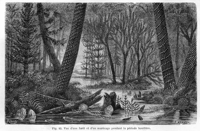 Vista de un bosque y un pantano del período carbonífero de Edouard Riou