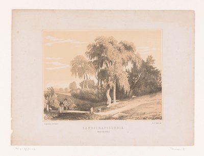 Estudio de paisaje (título en el objeto) de Edouard Taurel
