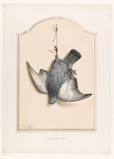Paloma bravía muerta colgando de una pierna La colombe biset (título sobre objeto) Museo del Cazador (título de la serie) Musée du chasseur (título de serie sobre objeto) de Edouard Travies