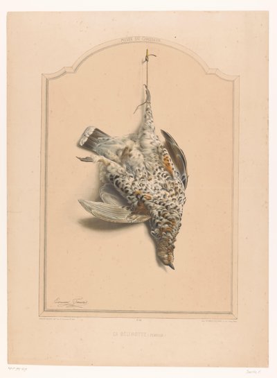Aves de corral hembras muertas colgando de una pierna La gélinotte (hembra) (título sobre objeto) Museo del Cazador (título de la serie) Musée du chasseur (título de serie sobre objeto) de Edouard Travies
