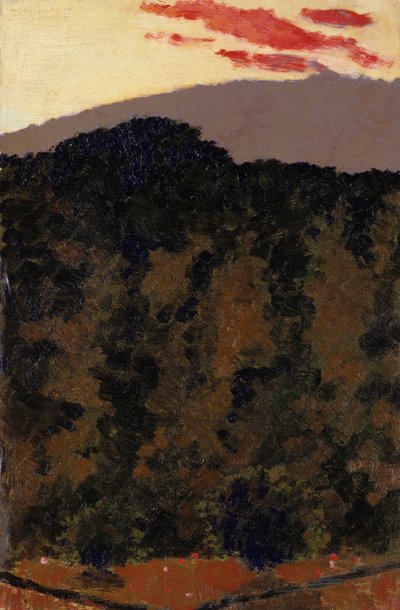 Paisaje, c.1900 de Edouard Vuillard