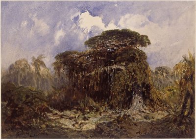  de Eduard Hildebrandt