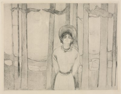 Noche de verano  (The Voice) de Edvard Munch