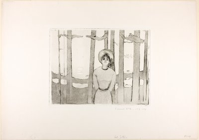 Noche de verano. La voz de Edvard Munch