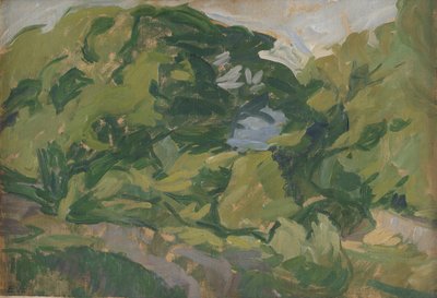 Paisaje, Christiansø de Edvard Weie