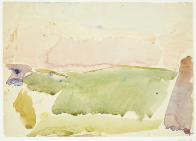 Paisaje con campos de Edvard Weie