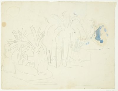 Paisaje con palmeras, Cannes de Edvard Weie