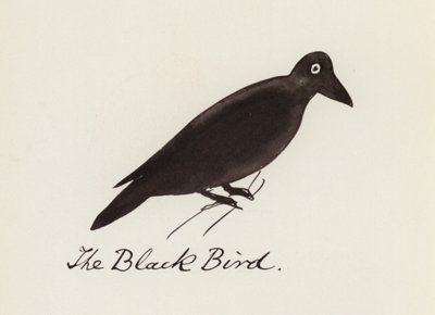 Edward Lear, El libro de los pájaros: El pájaro negro (litografia en color) de Edward (after) Lear