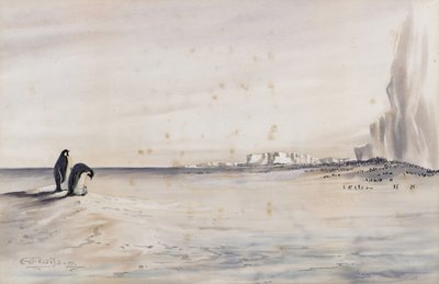 La Colonia de Pingüinos Emperador, Cabo Crozier de Edward Adrian Wilson