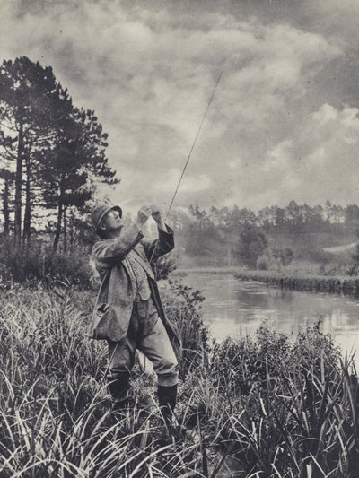 Un punto nudoso (foto b/n) de Edward Alfred Barton