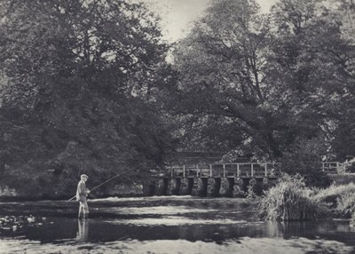 Catorce escotillas en el Nadder (foto en blanco y negro) de Edward Alfred Barton