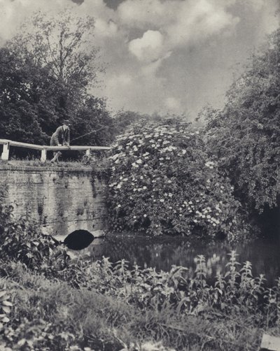 El puente del Canal sobre el Frays, Uxbridge (foto en blanco y negro) de Edward Alfred Barton