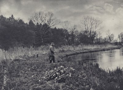 Los primeros ranúnculos de la primavera (foto en blanco y negro) de Edward Alfred Barton