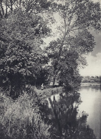 Bajo los grandes álamos del río Houghton (fotografía en blanco y negro) de Edward Alfred Barton